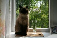 Фотография Вдовенко Андрея