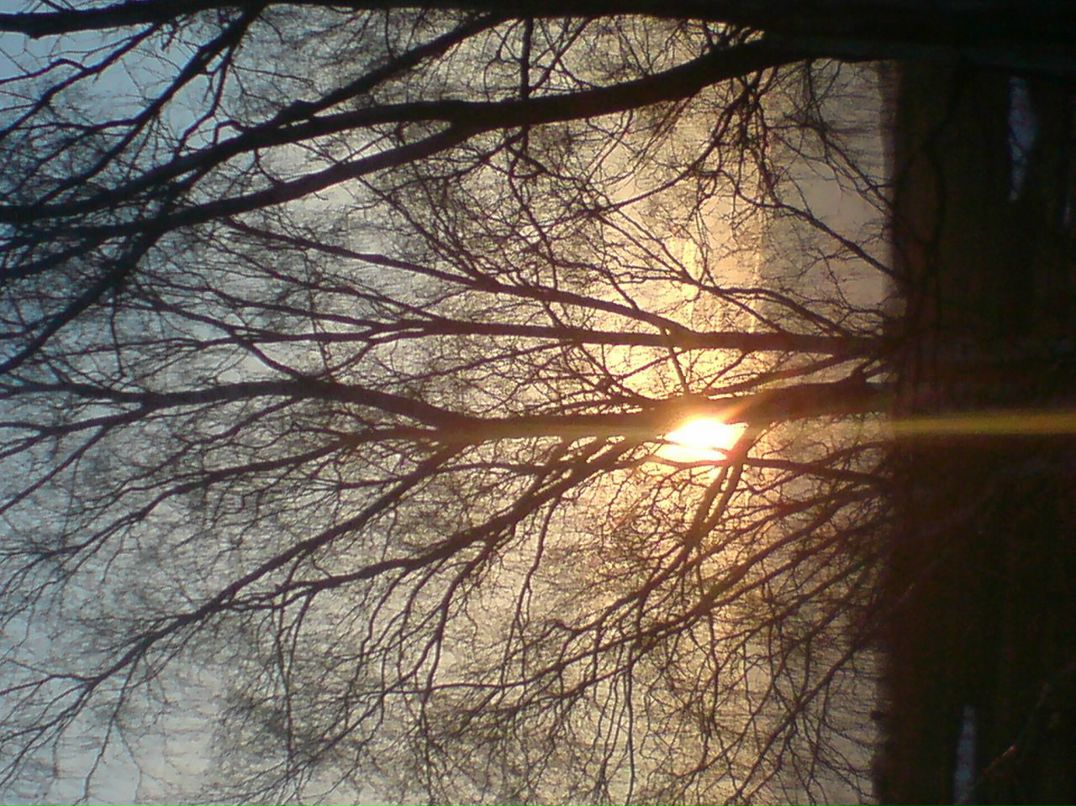 Денис Николаев фотография #12