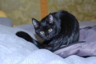 Ніна Никифорук фотография #18 (источник - https://vk.com/id9006378)