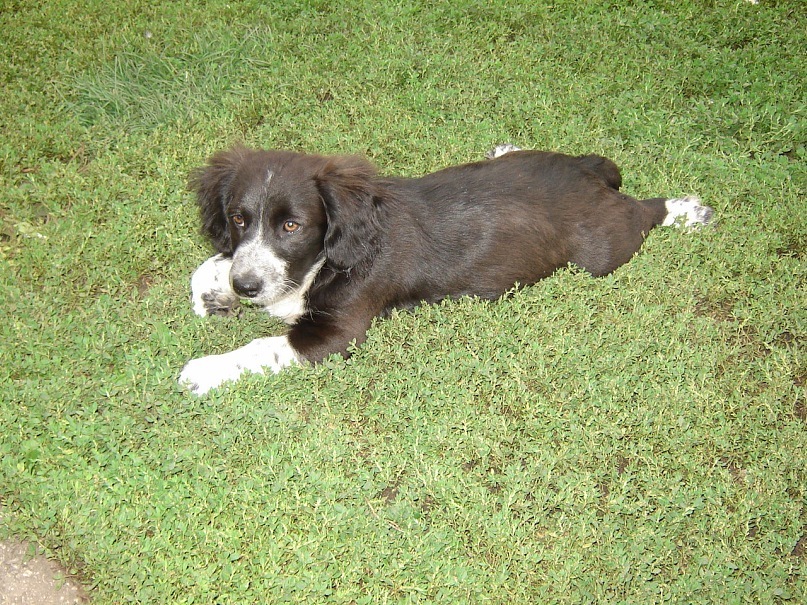 Игорь Донец фотография #46