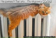 Фотография Журиной Светланы