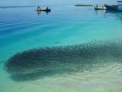 Ρоман Κолесников фотография #49 (источник - https://vk.com/id106872612)