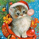 Марія Шкільнюк фотография #1