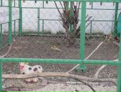 Мария Бильчук фотография #41 (источник - https://vk.com/id314305)