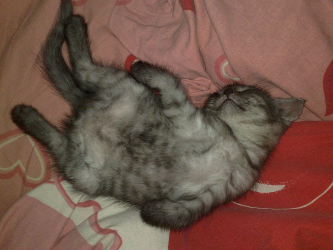 Дмитрий Баракин фотография #18