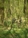 Олег Ільницький фотография #13 (источник - https://vk.com/id11337511)