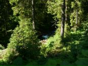 Андрій Кулик фотография #16 (источник - https://vk.com/id86149896)