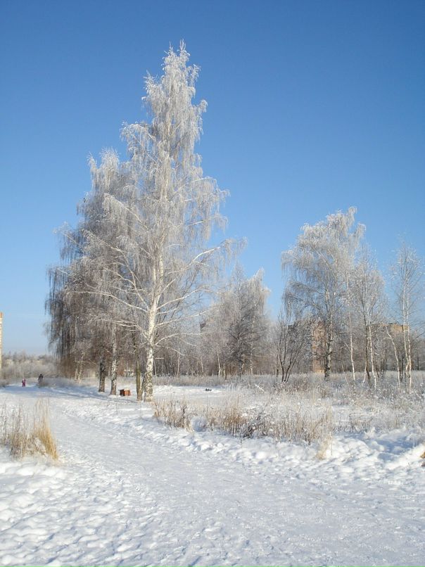 Дмитрий Лаёв фотография #41