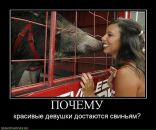 Андрей Лермонтов фотография #18 (источник - https://vk.com/id3879905)