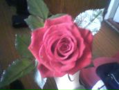 Марія Гринда фотография #1