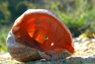 Иван Плотников фотография #31 (источник - https://vk.com/id1830573)