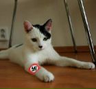 Фотография Грачева Алексея