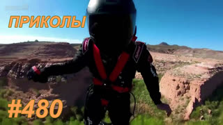 Приколы июль 2019 №480