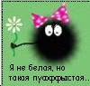 Фотография Екатерина Фей