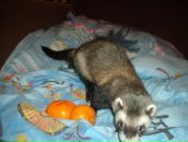 Дима Сергеевич фотография #20 (источник - https://vk.com/id1479155)