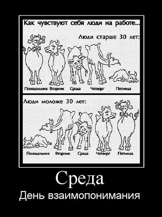 Андрей Евтефеев фотография #26