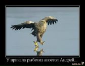 Андрій Ящишин фотография #36 (источник - https://vk.com/id17268396)