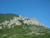 Фотография Володиной-Дербоян Ирины