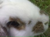 Володимир Баталій фотография #49 (источник - https://vk.com/id41874616)