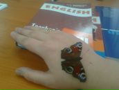 Фотография Лесь Натальи