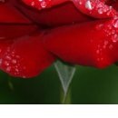 Ірина Заблоцька фотография #49 (источник - https://vk.com/id104380067)