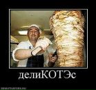 Угарный Мальчишка фотография #11 (источник - https://vk.com/id81366889)
