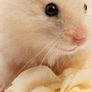 Сірожа Стицюк фотография #43 (источник - https://vk.com/id133380888)