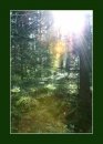 Фотография Шляхтиной Екатерины