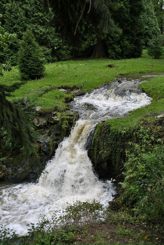 Lenka Bashirova фотография #27