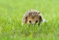 Фотография Никипарцовой Натальи