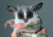 Фотография Федотовой Алены