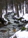 Вася Сірий фотография #9 (источник - https://vk.com/id70227408)