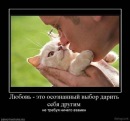 Ірина Черняк фотография #12 (источник - https://vk.com/id131295162)