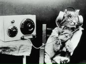 Фотография Космаковой Наталии