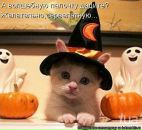 Фотография Серых-Бондаревой Галины