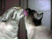 Фотография Волковой Елены