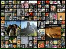 Софійка Гачок фотография #47 (источник - https://vk.com/id139633023)