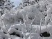 Лєна Бушко фотография #4 (источник - https://vk.com/id154668209)