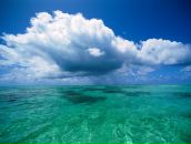 Фотография Евтушенко Евгения