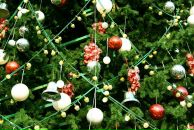 Дима Петренко фотография #2 (источник - https://vk.com/id102480375)