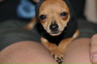 Фотография Абдуллиной Лилии