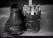 Фотография Кистерная Ольга