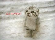 Фотография Павловой Александры