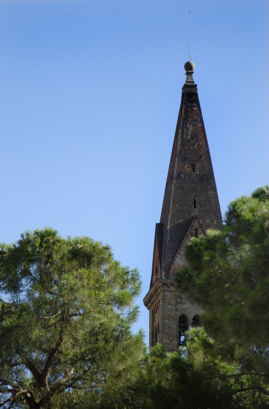 Оля Седина фотография #49