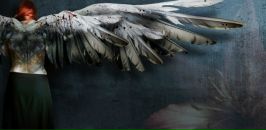 Фотография Гниломедова Артема