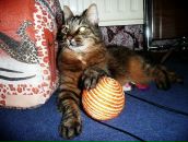 Фотография Самошкиной Снижанны