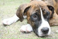 Кирилл Митяев фотография #30 (источник - https://vk.com/id6828811)