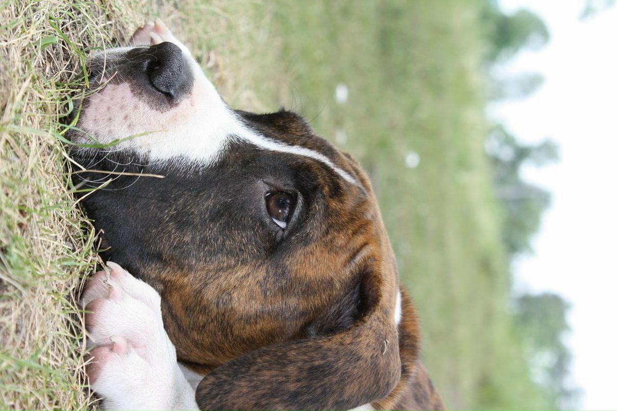 Кирилл Митяев фотография #8