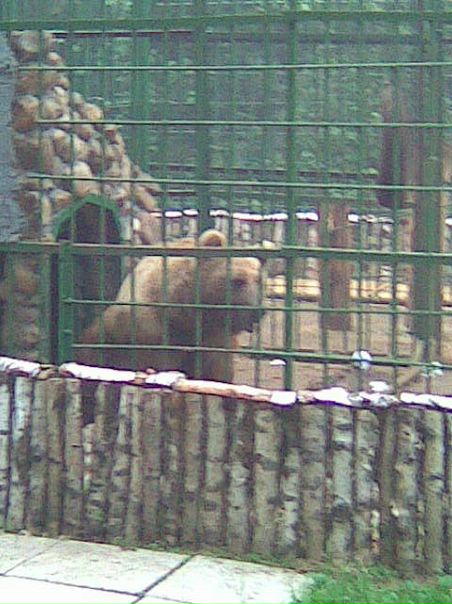 Иван Волков фото №28