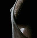 Фотография Ярославцевой Валеры